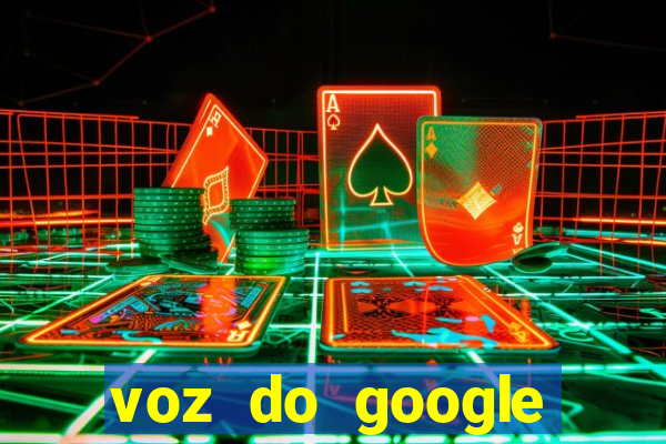 voz do google tradutor homem